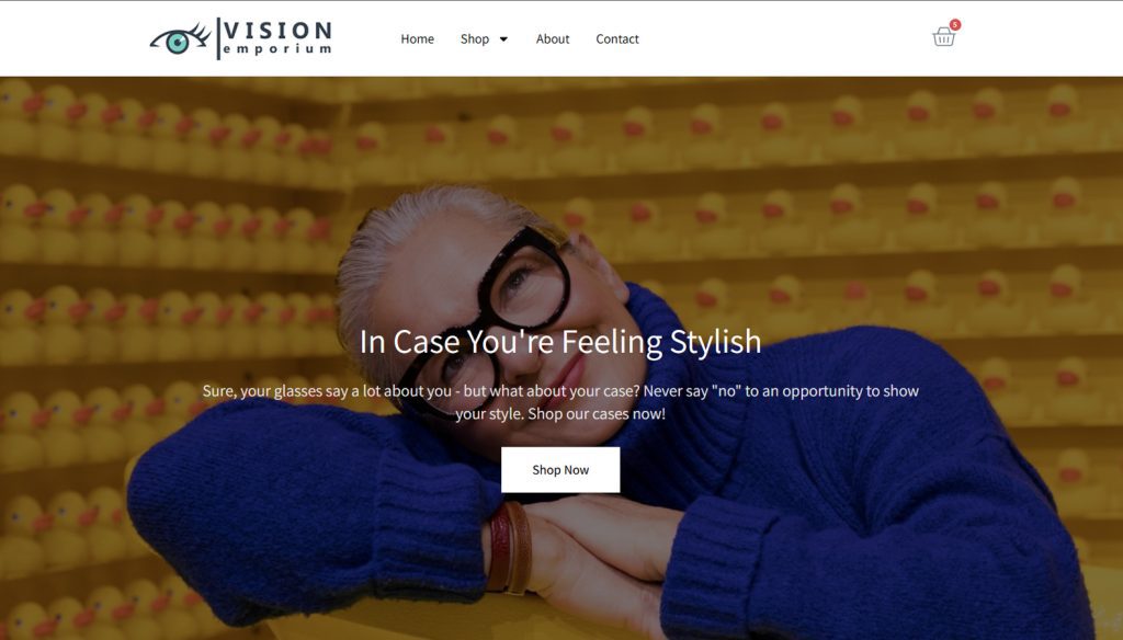 Online shop for glasses and sunglasses accessories supplier provider website design and development