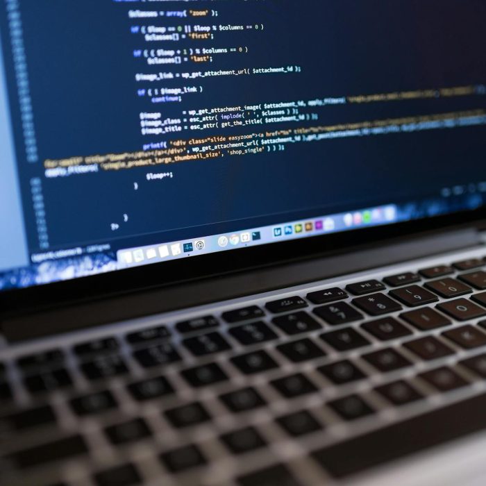 WordPress Website Software Management and Maintenance
