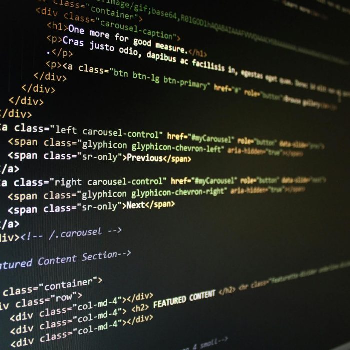 WordPress Website Software Management and Maintenance